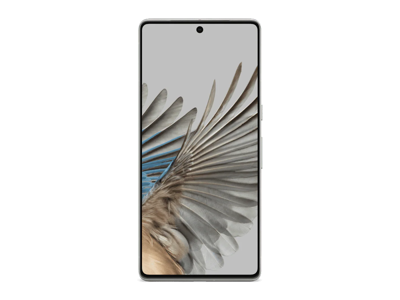 Google Pixel 7 Pro 5G - Image 10